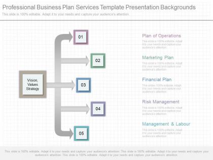 Professional business plan services template presentation backgrounds