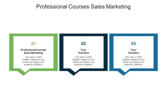Professional courses sales marketing ppt powerpoint presentation show format cpb