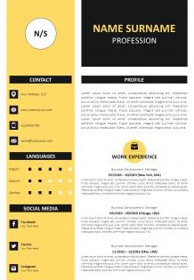 Professional cv format with awards and references