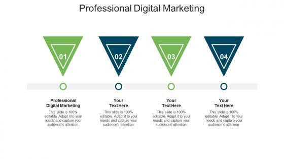 Professional digital marketing ppt powerpoint presentation inspiration icons cpb