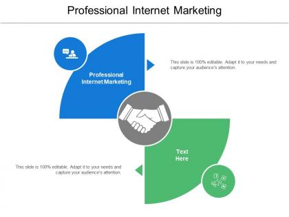 Professional internet marketing ppt powerpoint presentation ideas deck cpb