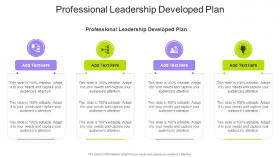 Professional Leadership Developed Plan In Powerpoint And Google Slides Cpb