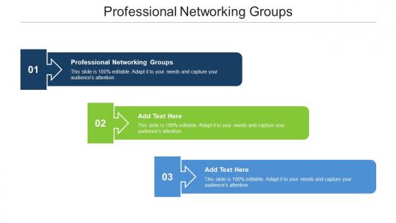 Professional Networking Groups Ppt Powerpoint Presentation Outline Deck Cpb