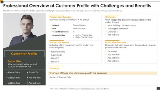 Professional Overview Of Customer Profile With Challenges And Benefits