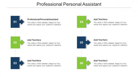 Professional Personal Assistant Ppt Powerpoint Presentation Infographic Portfolio Cpb