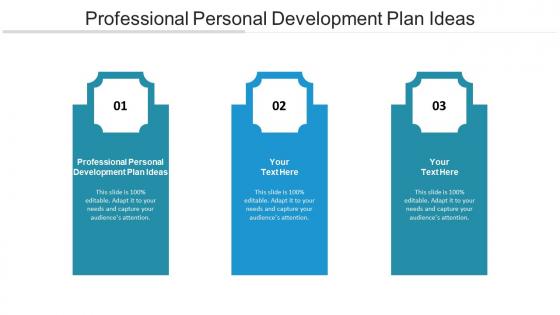 Professional personal development plan ideas ppt powerpoint presentation styles clipart cpb