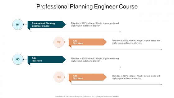 Professional Planning Engineer Course In Powerpoint And Google Slides Cpb