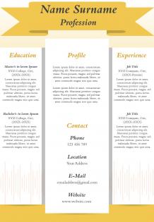 Professional resume cv sample format template to introduce yourself