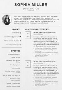 Professional resume template with career summary