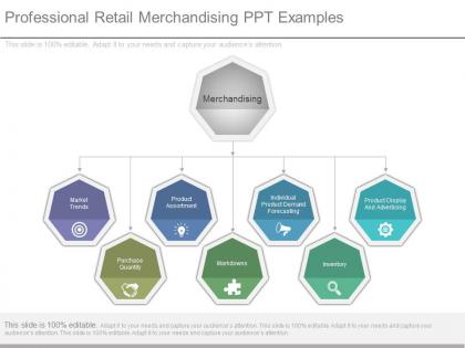 Professional retail merchandising ppt examples
