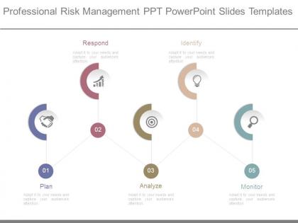 Professional risk management ppt powerpoint slides templates