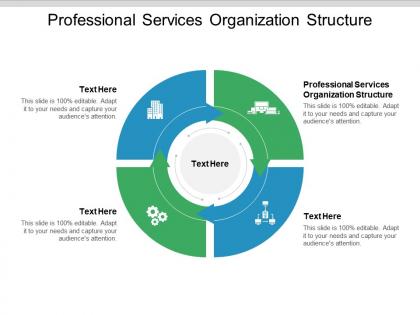 Professional services organization structure ppt powerpoint presentation gallery clipart images cpb