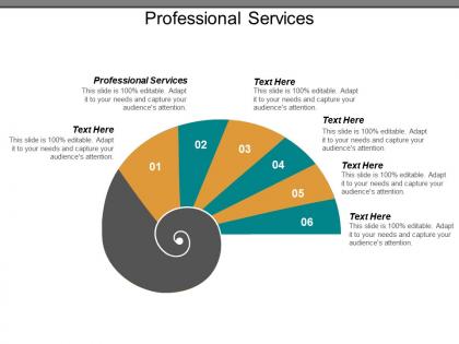 Professional services ppt powerpoint presentation pictures demonstration cpb