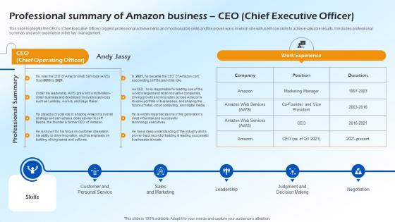 Professional Summary Of Amazon Business Ceo Chief B2c E Commerce BP SS