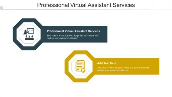 Professional Virtual Assistant Services Ppt Powerpoint Presentation Professional Cpb