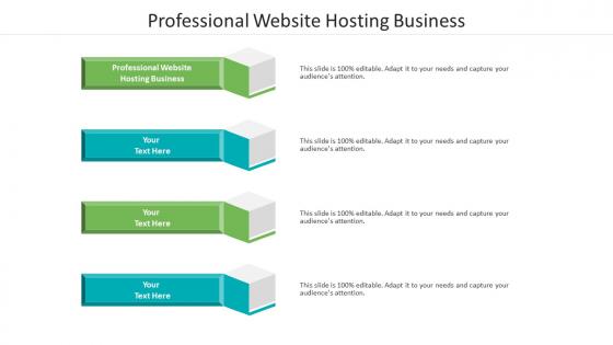 Professional website hosting business ppt powerpoint presentation outline inspiration cpb