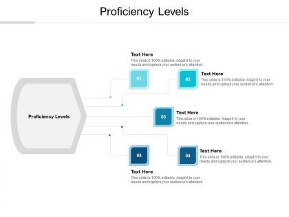 Proficiency levels ppt powerpoint presentation slides model cpb