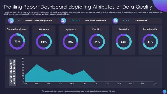 Profiling Report Dashboard Snapshot Depicting Attributes Of Data Quality