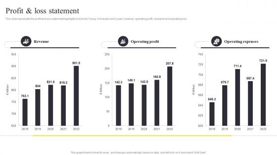 Profit And Loss Statement Ernst And Young Company Profile CP SS