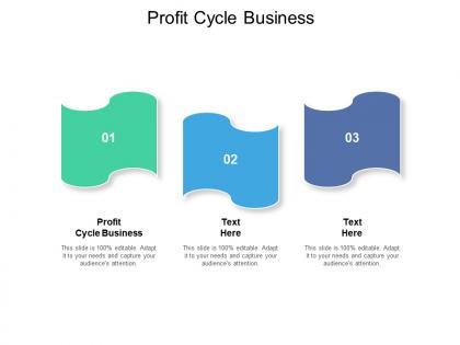 Profit cycle business ppt powerpoint presentation infographics microsoft cpb
