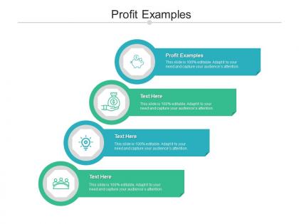 Profit examples ppt powerpoint presentation ideas example introduction cpb