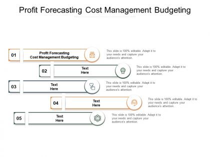 Profit forecasting cost management budgeting ppt powerpoint styles cpb