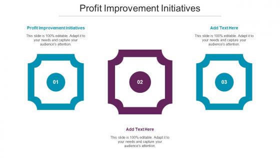 Profit Improvement Initiatives Ppt Powerpoint Presentation Summary Structure Cpb