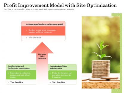 Profit improvement model with site optimization