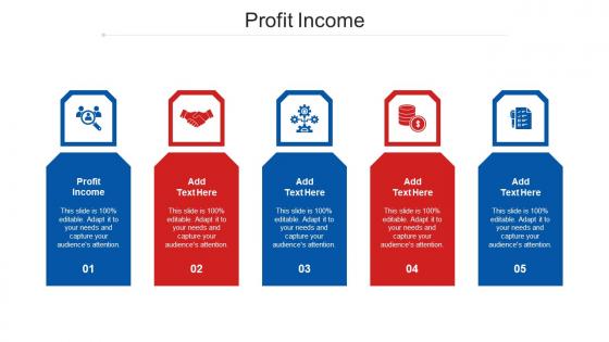 Profit Income Ppt Powerpoint Presentation Portfolio Introduction Cpb