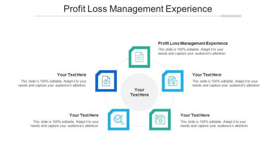 Profit Loss Management Experience Ppt Powerpoint Presentation Layouts Graphics Download Cpb