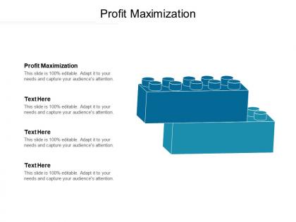 Profit maximization ppt powerpoint presentation summary objects cpb
