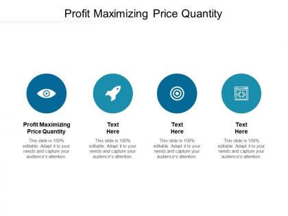 Profit maximizing price quantity ppt powerpoint presentation example cpb