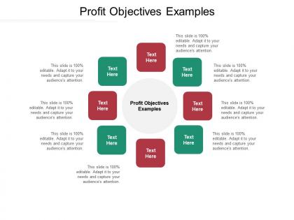 Profit objectives examples ppt powerpoint presentation slides format ideas cpb