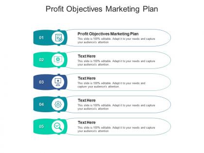 Profit objectives marketing plan ppt powerpoint presentation professional format ideas cpb