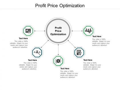 Profit price optimization ppt powerpoint presentation outline show cpb