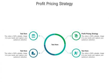 Profit pricing strategy ppt powerpoint presentation file background image cpb