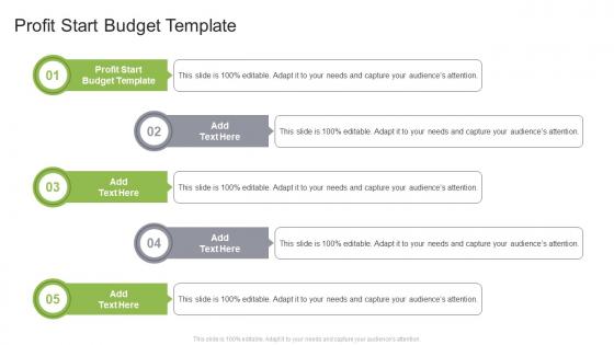 Profit Start Budget Template In Powerpoint And Google Slides Cpb