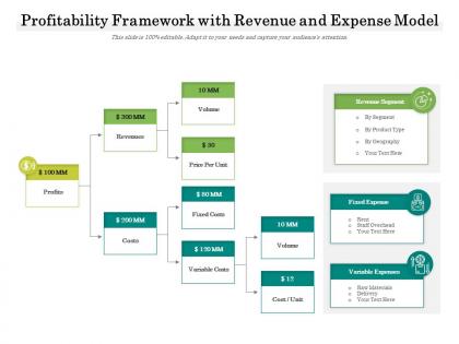 Profitability framework with revenue and expense model