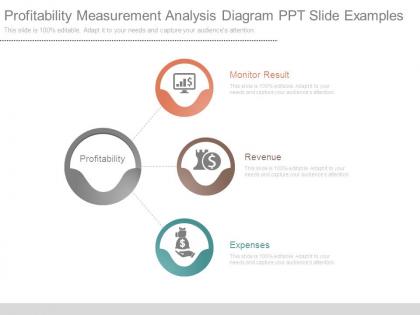 Profitability measurement analysis diagram ppt slide examples