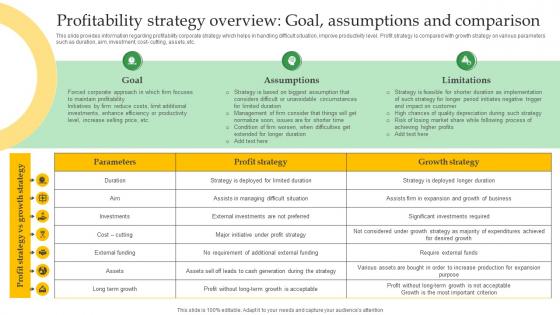 Profitability Strategy Overview Crucial Corporate Strategies Associated Strategy SS