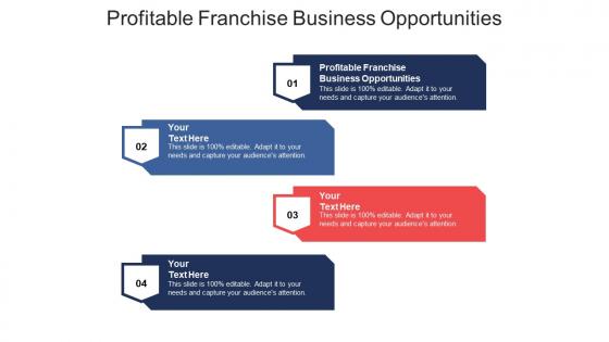Profitable franchise business opportunities ppt powerpoint presentation icon example cpb