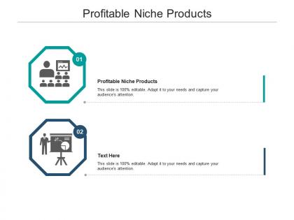 Profitable niche products ppt powerpoint presentation ideas cpb