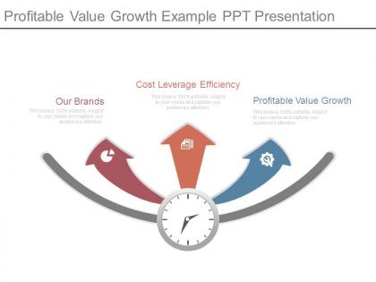 Profitable value growth example ppt presentation