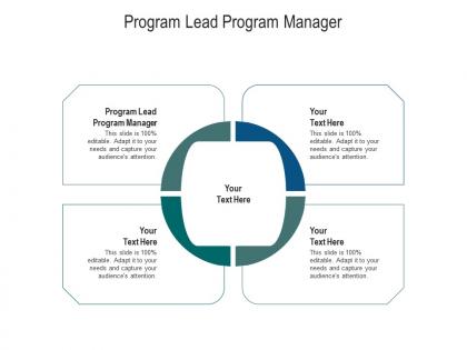 Program lead program manager ppt powerpoint presentation ideas samples cpb