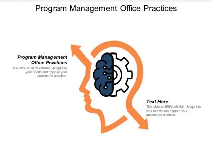 Program management office practices ppt powerpoint presentation gallery guidelines cpb
