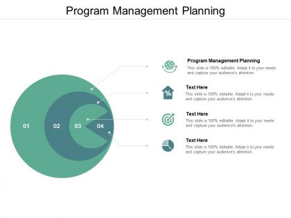Program management planning ppt powerpoint presentation gallery infographics cpb