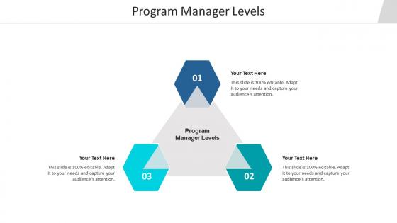 Program manager levels ppt powerpoint presentation model show cpb