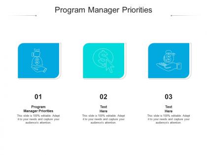Program manager priorities ppt powerpoint presentation infographics slide cpb