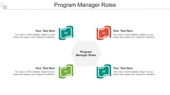 Program Manager Roles Ppt Powerpoint Presentation Inspiration Rules Cpb