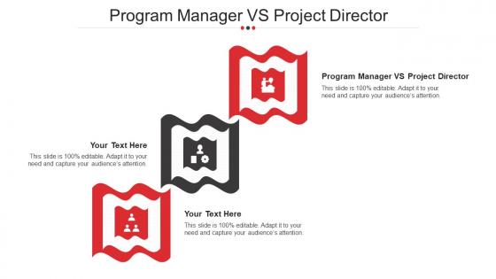 Program Manager Vs Project Director Ppt Powerpoint Presentation Slides Inspiration Cpb